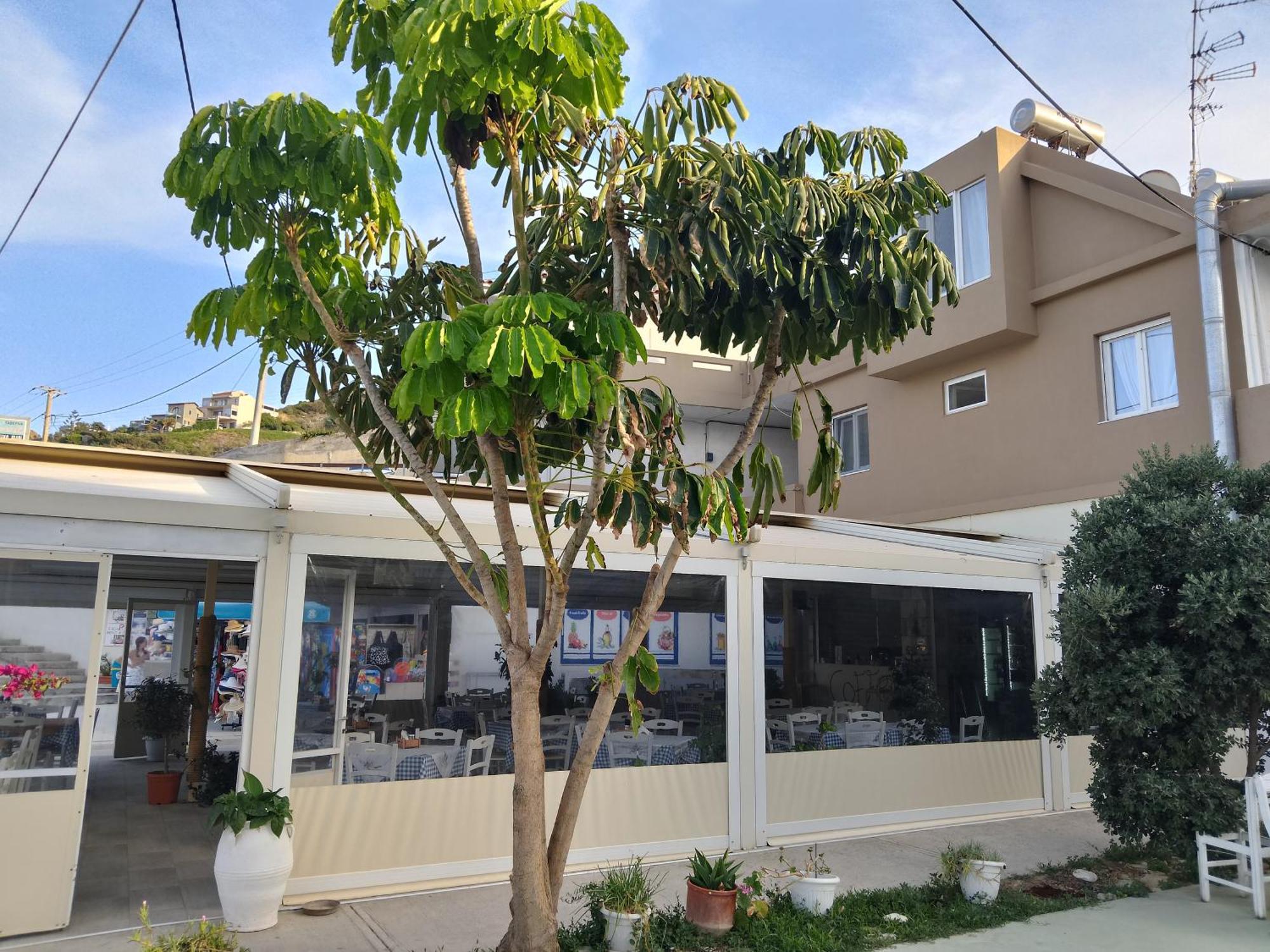 Anatoli Lygaria Apartments On The Beach Ligaria (Crete) Exterior foto